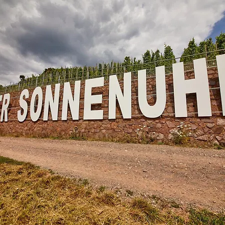 Neu!!! Moselbleibe Altes Forsthaus 别墅 贝恩卡斯特尔-屈斯